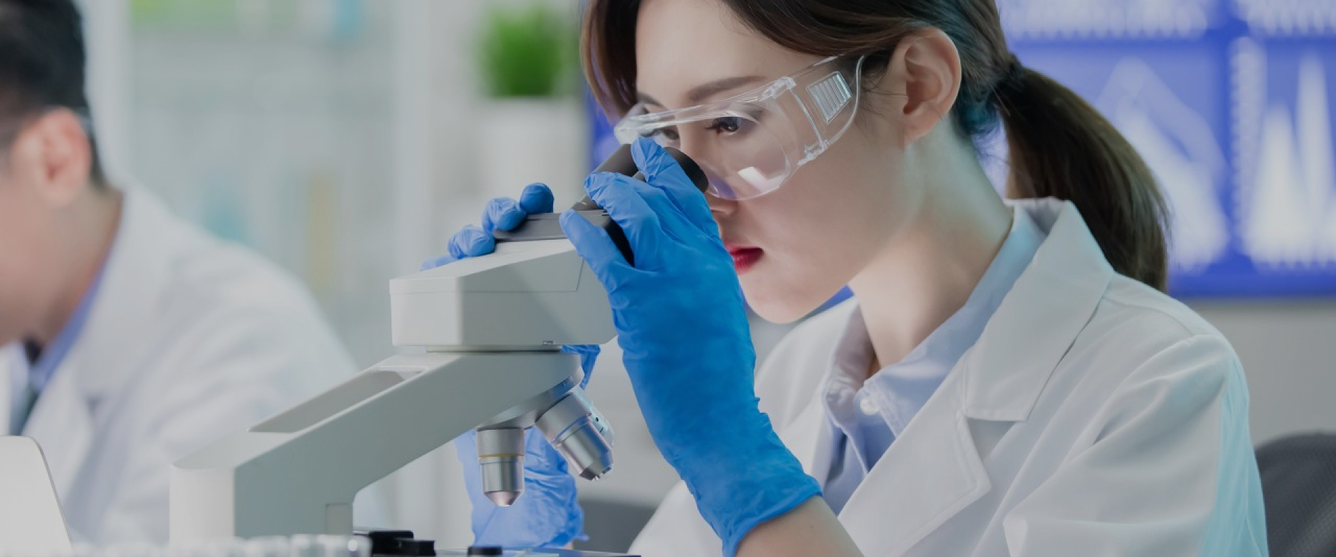 im电竞·(中国)电子竞技平台